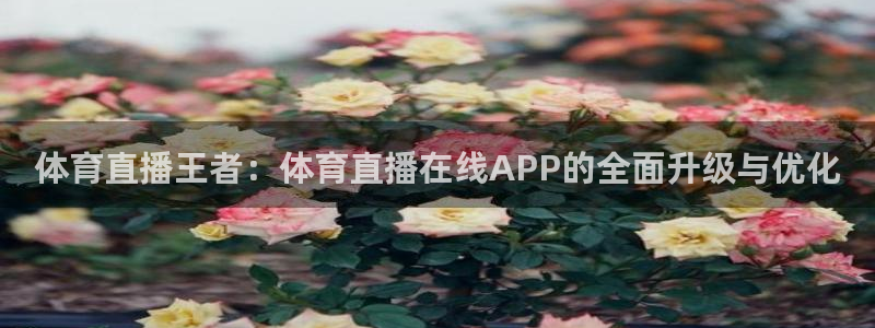 体育直播王者：体育直播在线APP的全面升级与优化