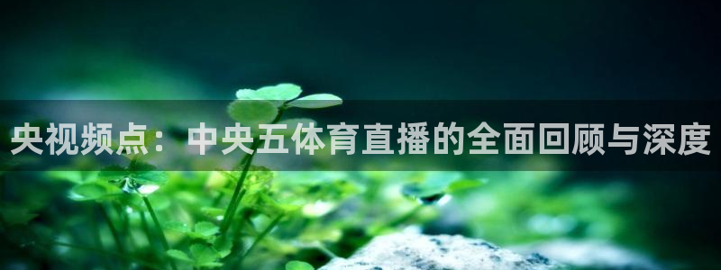 央视频点：中央五体育直播的全面回顾与深度