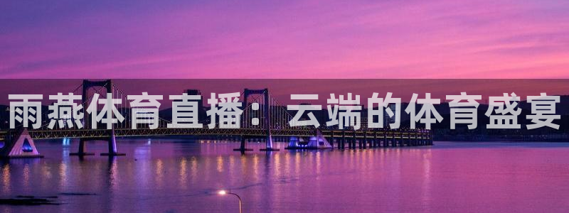 雨燕体育直播：云端的体育盛宴