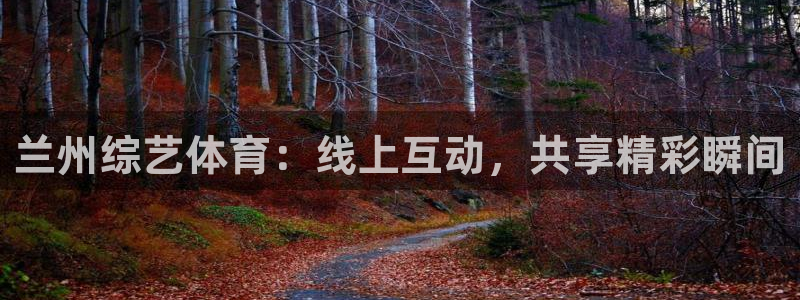 兰州综艺体育：线上互动，共享精彩瞬间