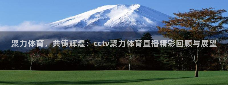 聚力体育，共铸辉煌：cctv聚力体育直播精彩回顾与展望